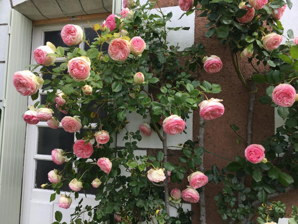 Bed and Breakfast La Bauldiniere Tauxigny Exterior foto